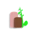 Spices